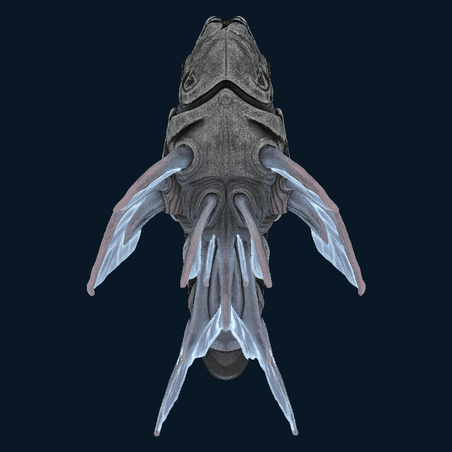 Ashen Sentinel — bottom model view