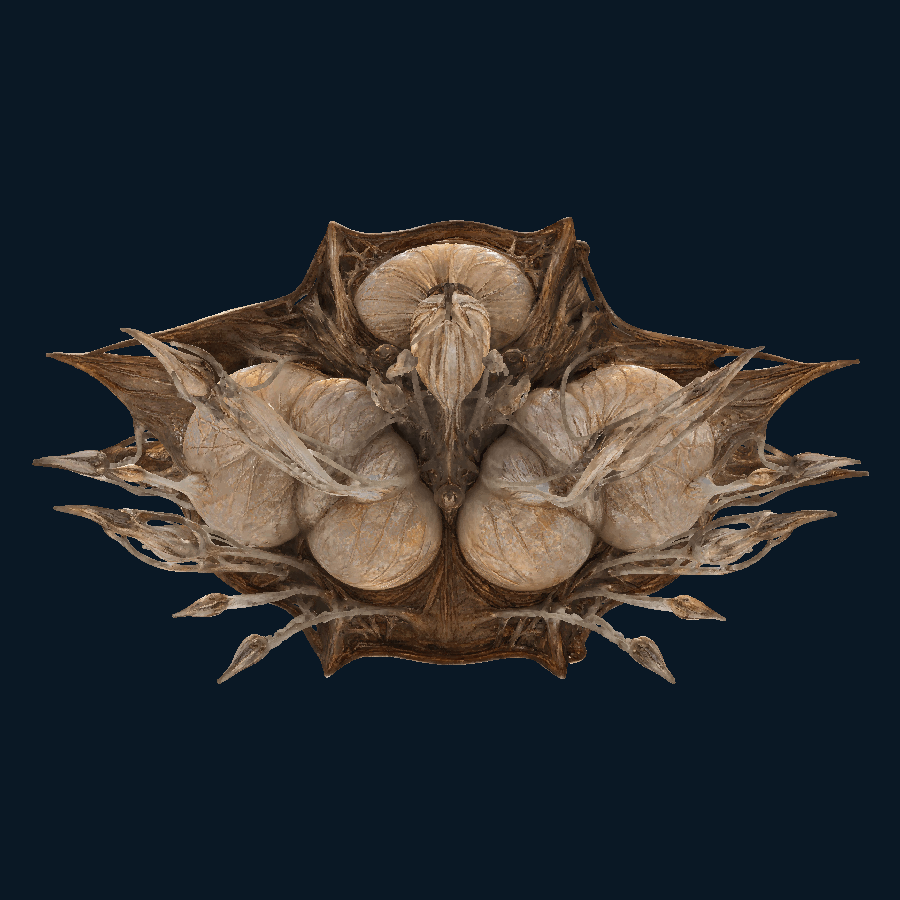 Cloudmother Floater — Bottom view
