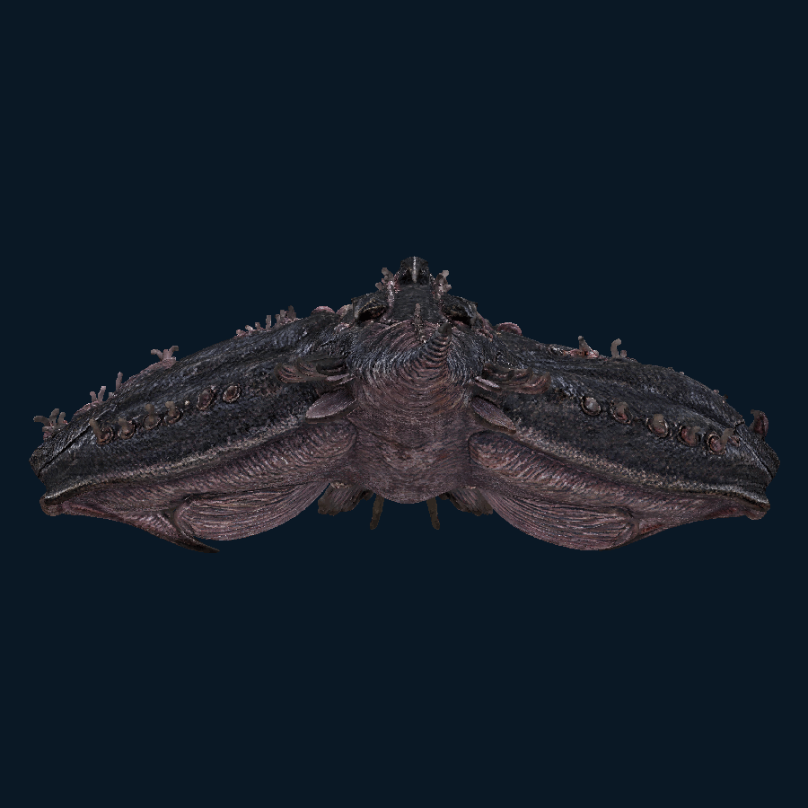 Ebon Seeker-class Battleship — Rear view