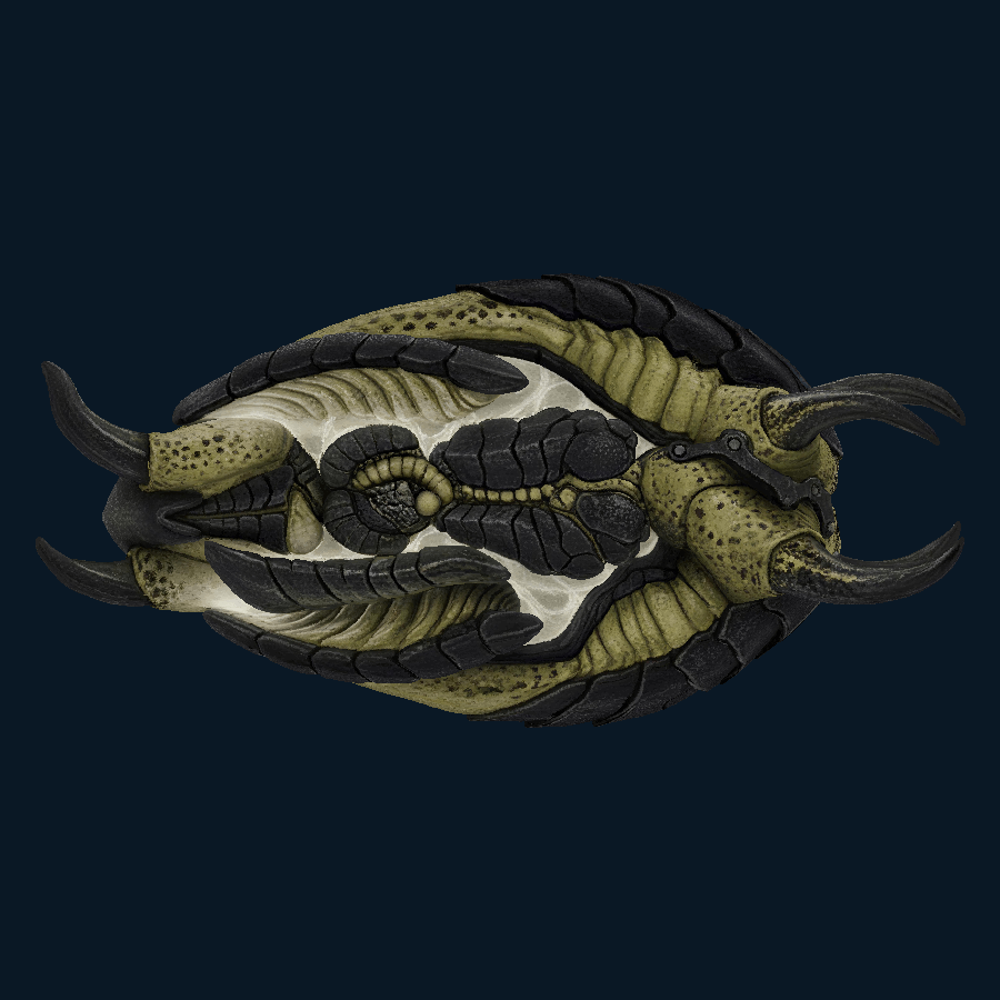 Obsidian Pilgrim — left model view
