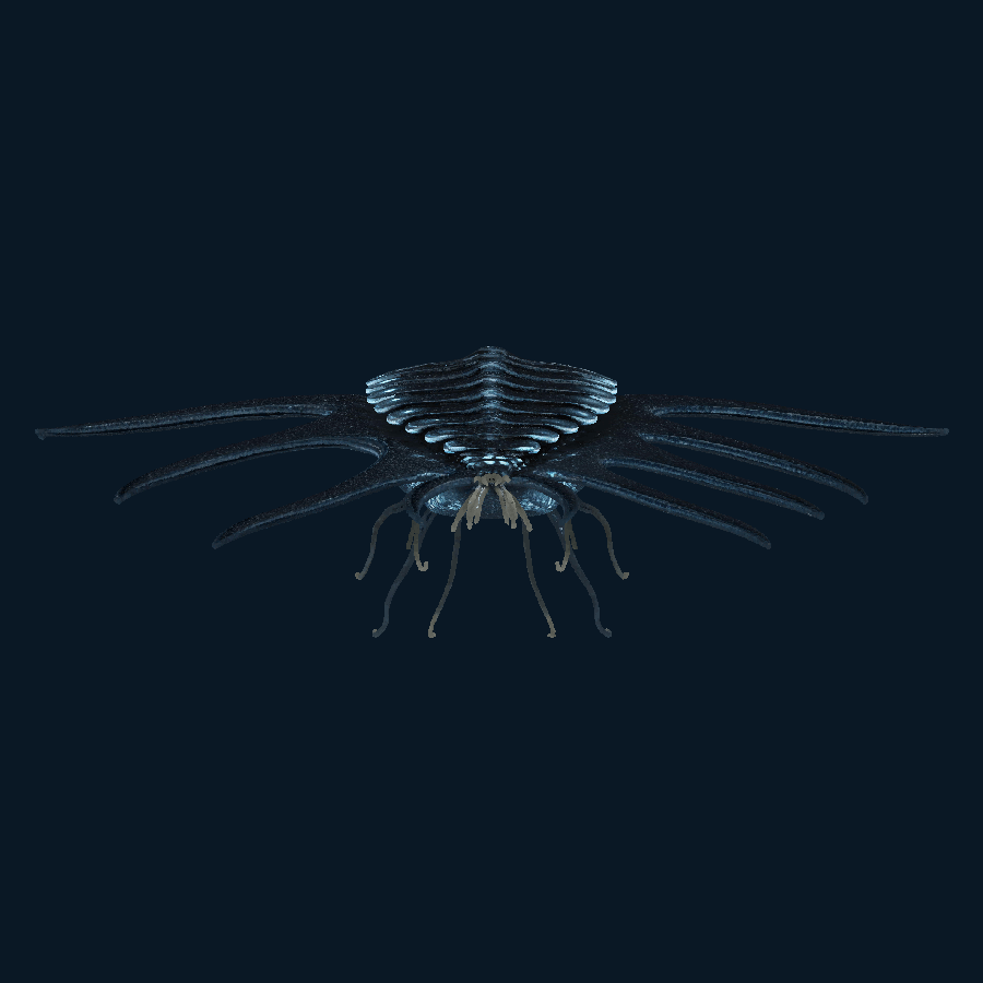 Void Chorus — back model view